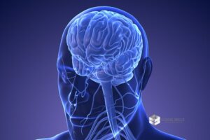 maestría en neurociencias y educación